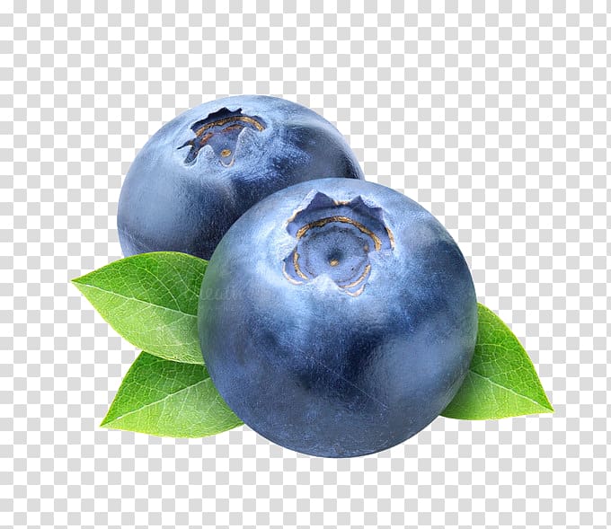 Blueberry Frutti di bosco , Blueberry transparent background PNG clipart