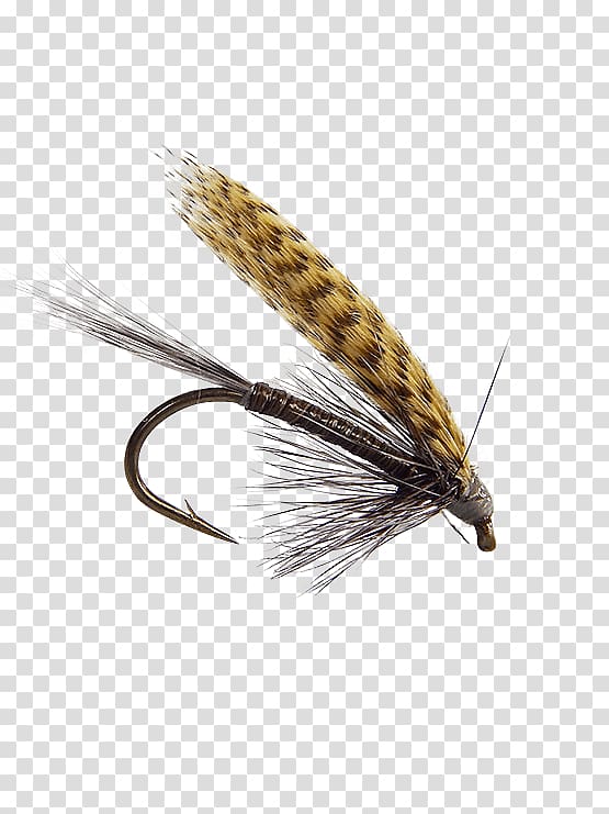 Quill Gordon Artificial fly Emergers Fly fishing Insect, insect transparent background PNG clipart