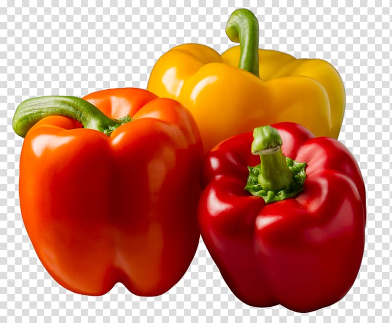 Bell pepper Vegetable Chili pepper Food Vegetarian cuisine, bell pepper transparent background PNG clipart