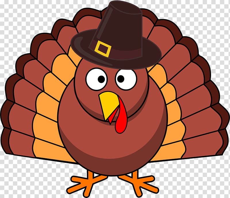 Black turkey Pilgrim Thanksgiving , Turkey transparent background PNG clipart
