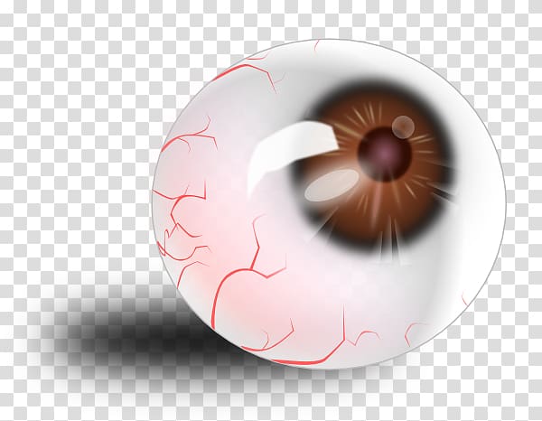 Human eye , Cartoon Eyeball transparent background PNG clipart