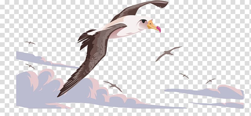 Bird Flight Beak Albatross, The flying crane transparent background PNG clipart