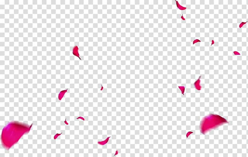 Pink Petal Gratis Designer, Pink petals falling transparent background PNG clipart