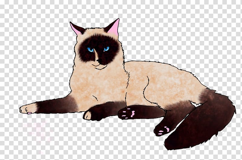 Whiskers Balinese cat Kitten Domestic short-haired cat, kitten transparent background PNG clipart