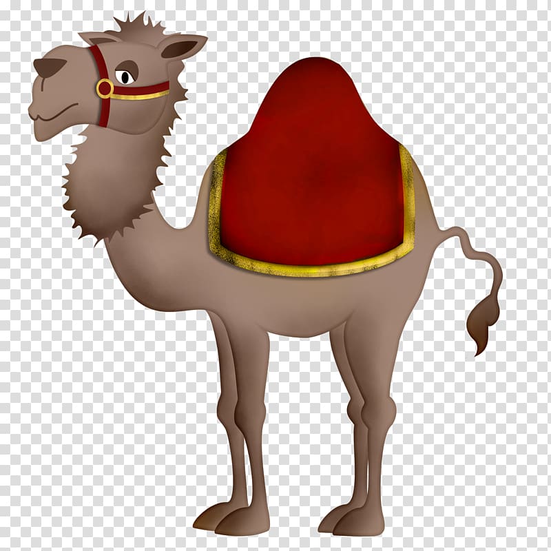 Camel Cartoon , camel transparent background PNG clipart
