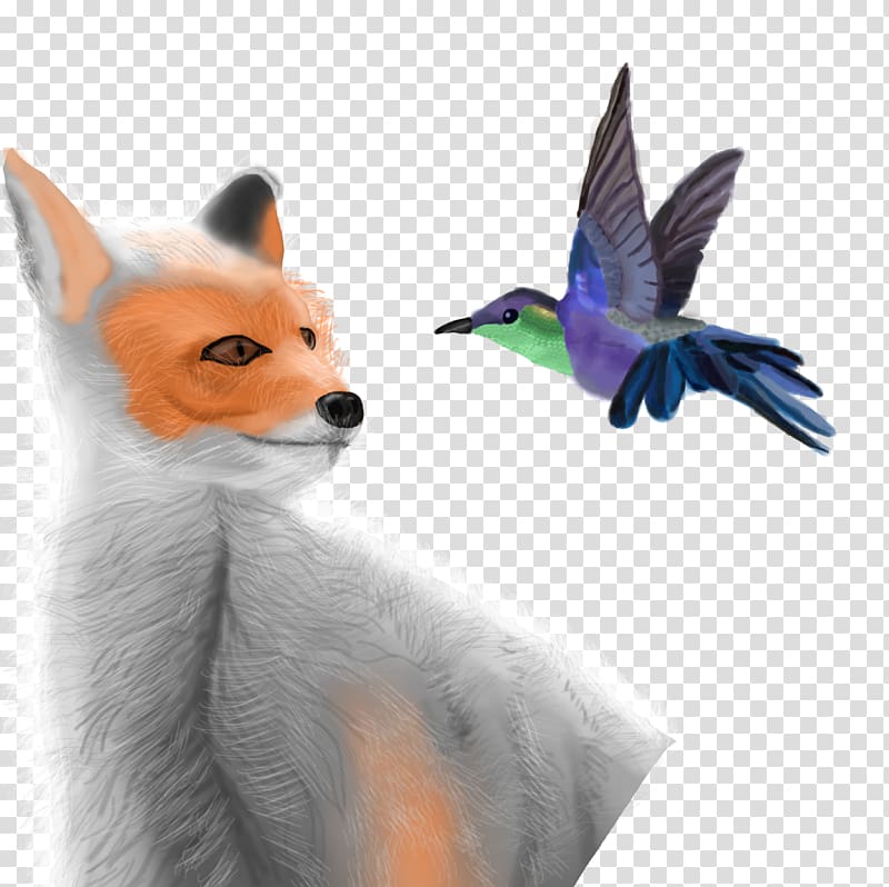 Red fox Bird Beak Fauna Feather, Bird transparent background PNG clipart