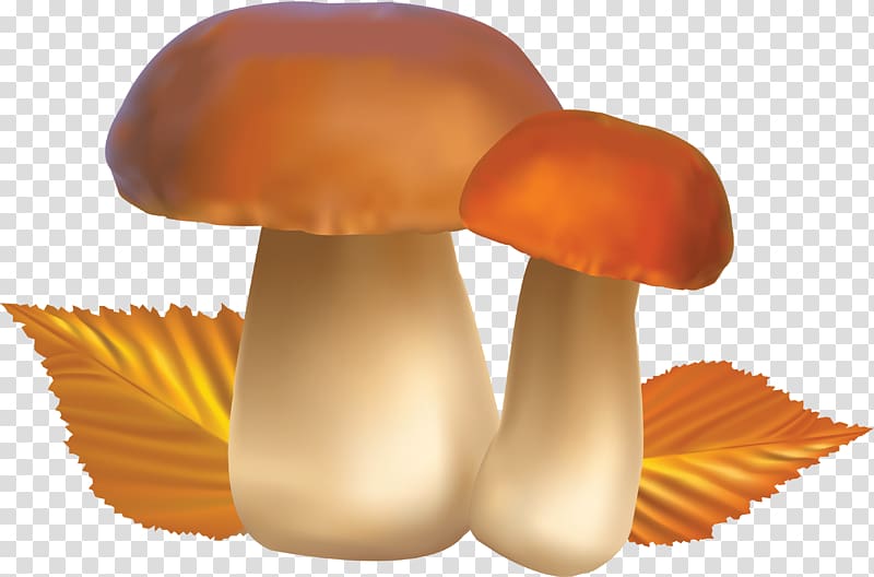 Mushroom , Mushroom transparent background PNG clipart