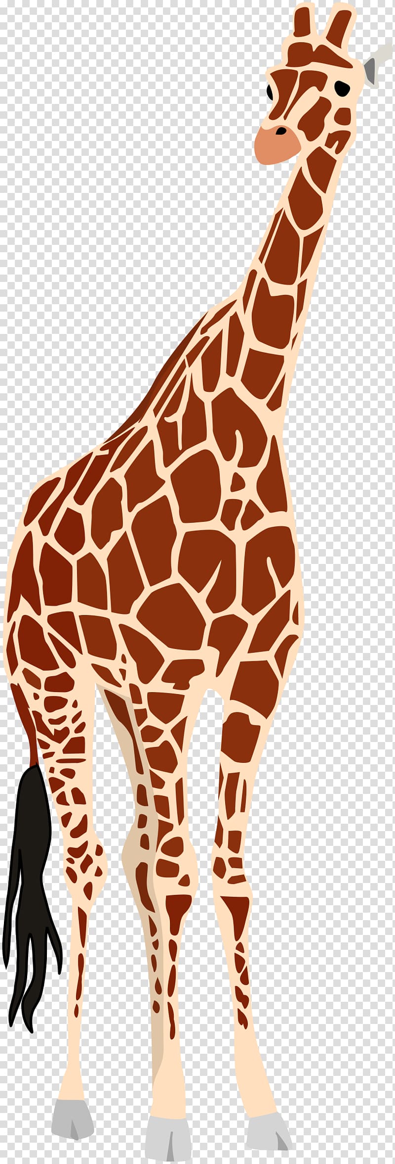 Giraffe Okapi , giraffe transparent background PNG clipart