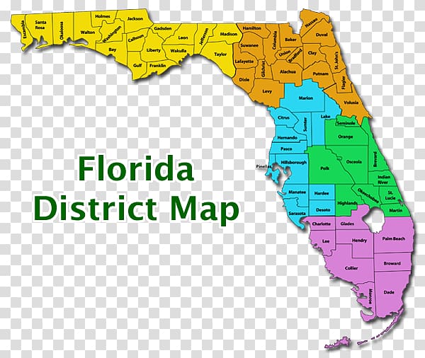 Florida\'s 10th congressional district School district Florida\'s congressional districts Education, school transparent background PNG clipart