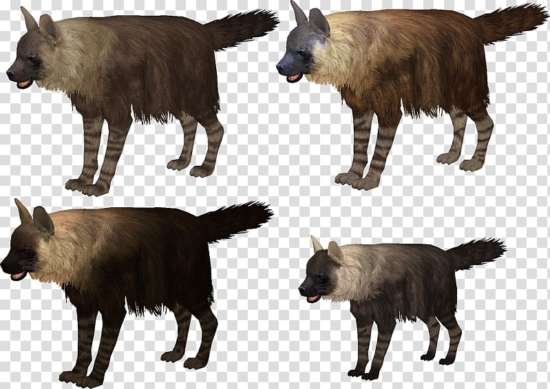 Zoo Tycoon 2: Endangered Species Cat Zoo Tycoon 2: Marine Mania Striped hyena, hyena transparent background PNG clipart