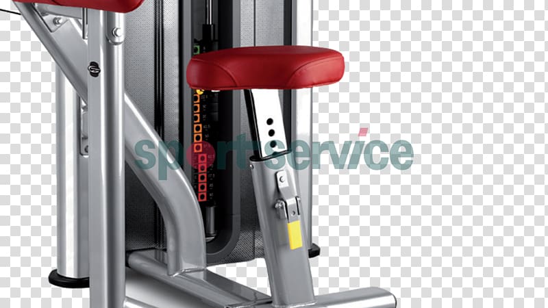 Biceps curl Bodybuilding Beistegui Hermanos Overhead press, bodybuilding transparent background PNG clipart