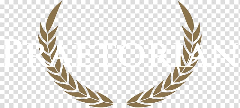 Eldrew B&B Screen Actors Guild Award Minnesota Art, korean good luck symbol transparent background PNG clipart