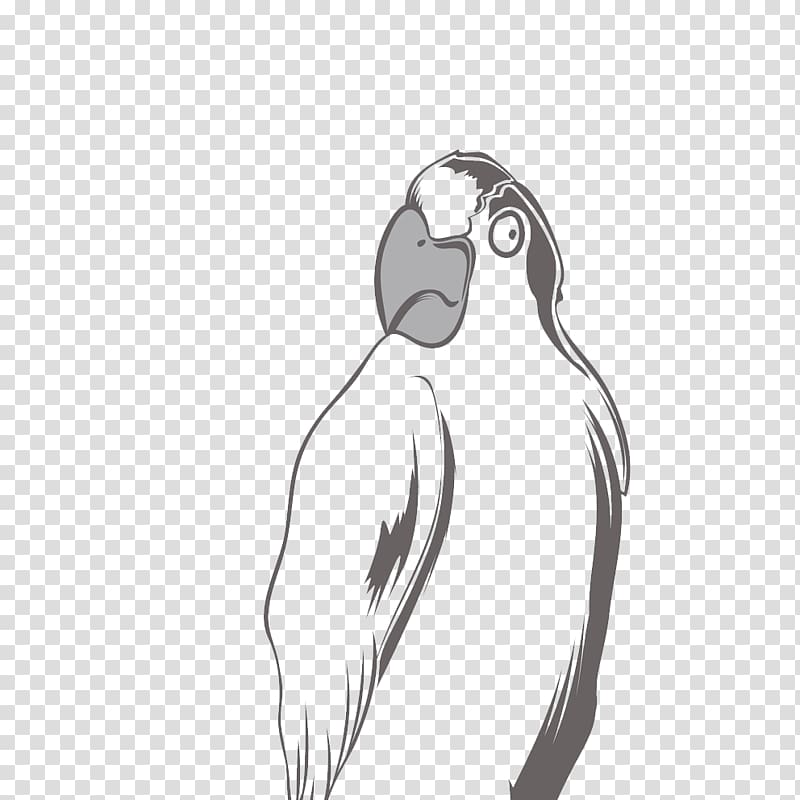 Parrot Black and white T-shirt, parrot transparent background PNG clipart