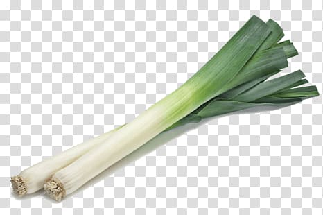 green spring onions, Leek transparent background PNG clipart