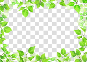 green leaf border design