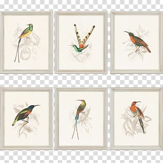 Decorative arts Graphic arts Graphics Frames, coast salish hummingbird transparent background PNG clipart