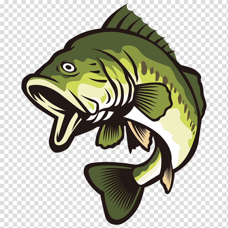 green bass fish art, Largemouth bass , Open your mouth and green fish transparent background PNG clipart