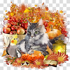 Kitten Whiskers Floral design, kitten transparent background PNG clipart thumbnail
