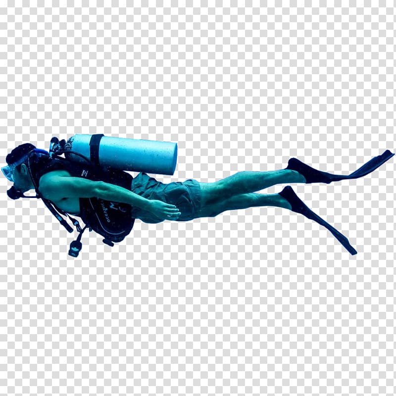 Diver transparent background PNG clipart