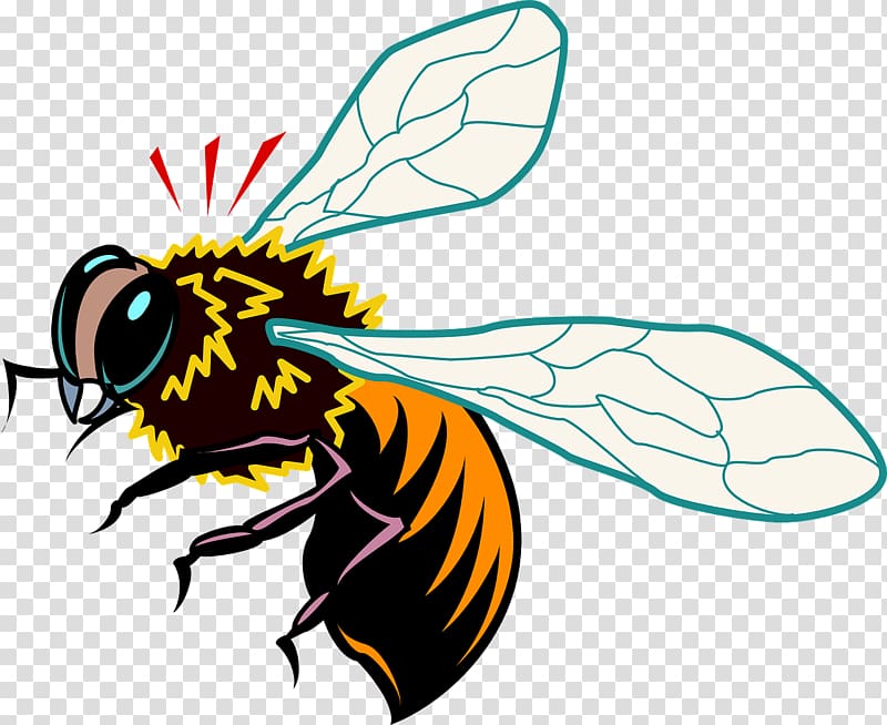 Queen bee Insect , bee transparent background PNG clipart
