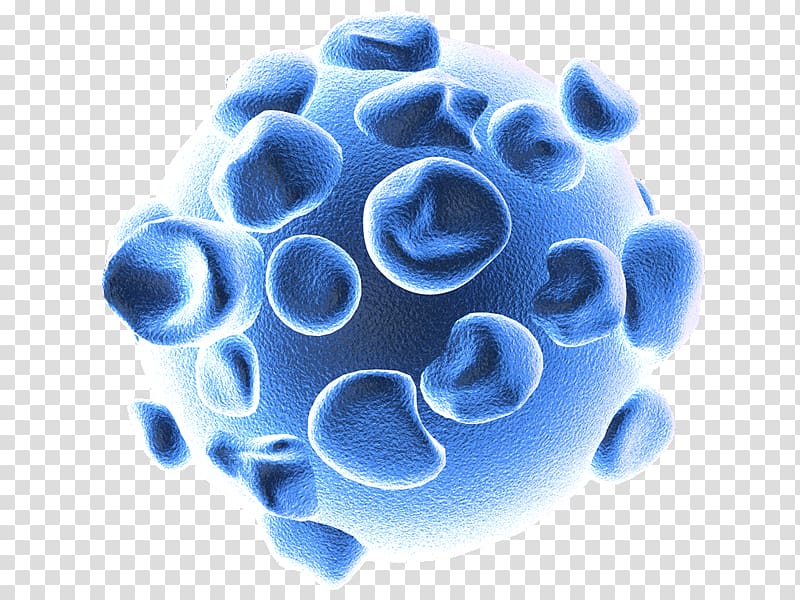 Mosaic virus Influenza 3D computer graphics 3D modeling, others transparent background PNG clipart