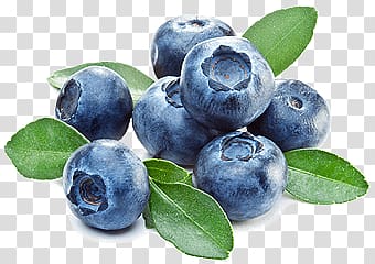 blueberries illustration, Blueberries and Leaves transparent background PNG clipart