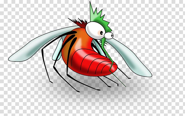 Mosquito control Household Insect Repellents Mosquito Nets & Insect Screens , mosquito transparent background PNG clipart