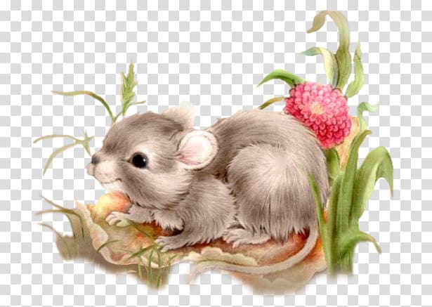 Gerbil Greeting Hamster Guestbook Love, PATINS transparent background PNG clipart
