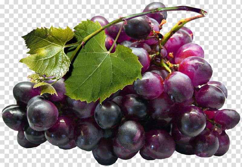 Grape seed extract Juice Grapefruit, Large Black Grapes , red grapes transparent background PNG clipart