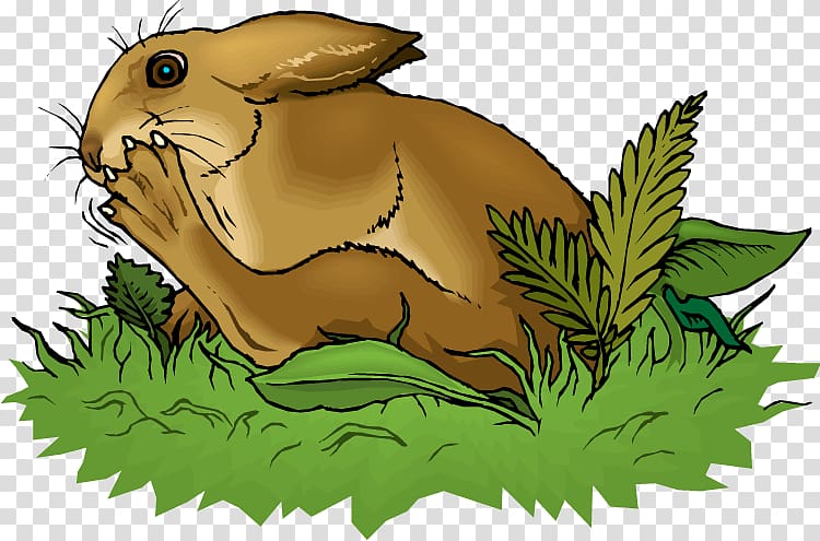 Domestic rabbit European hare European rabbit , rabbit transparent background PNG clipart