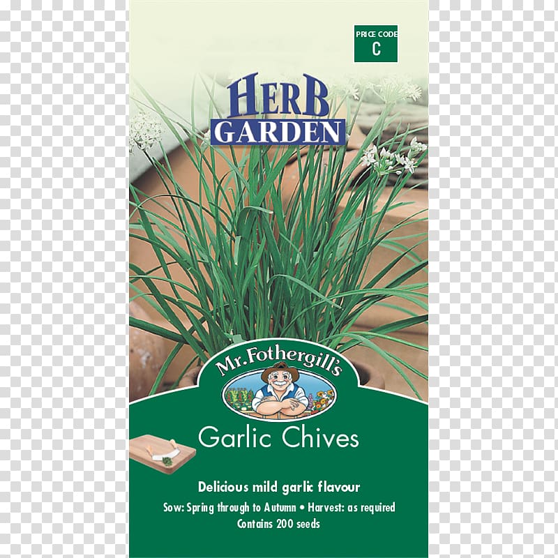 Garlic chives Herb Vegetable, Garlic Chives transparent background PNG clipart