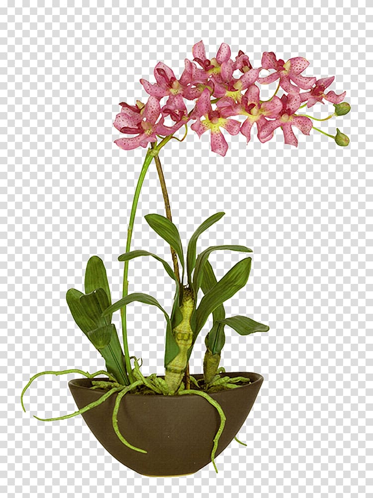 Moth orchids Landscape, design transparent background PNG clipart