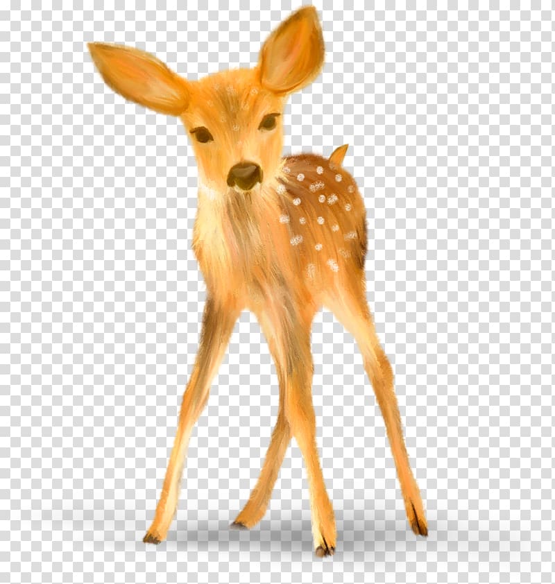 Hunting Whitetail Deer Halloween costume Halloween costume, Hand painted yellow deer decoration pattern transparent background PNG clipart