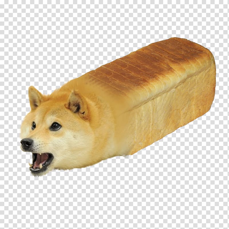 Shiba Inu Doge YouTube, bread transparent background PNG clipart