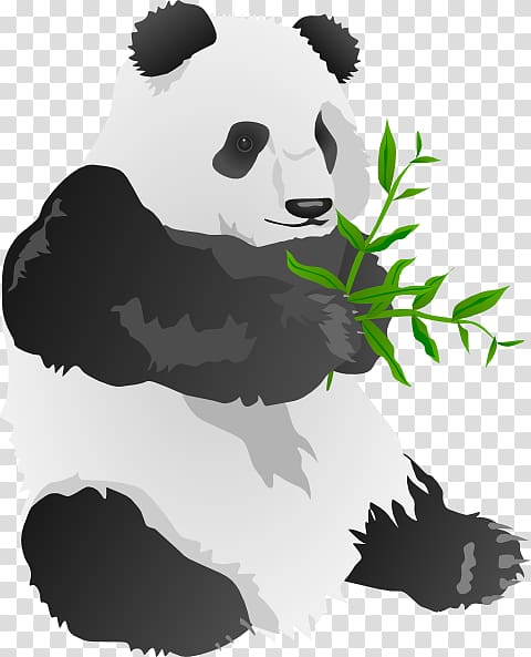 Giant panda Bear , Gambar Kartun Panda transparent background PNG clipart