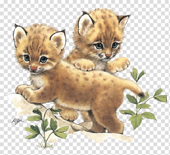 Whiskers Cheetah Wildcat Lion, cheetah transparent background PNG clipart