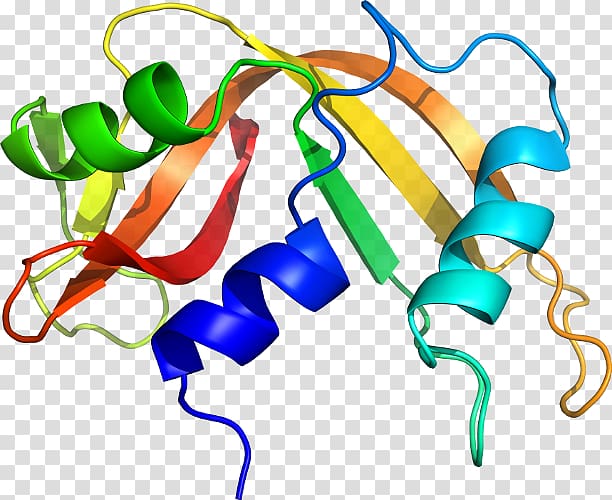 Line , design transparent background PNG clipart