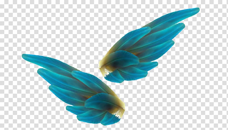 Bird Feather Angel Wing, Blue feathers transparent background PNG clipart