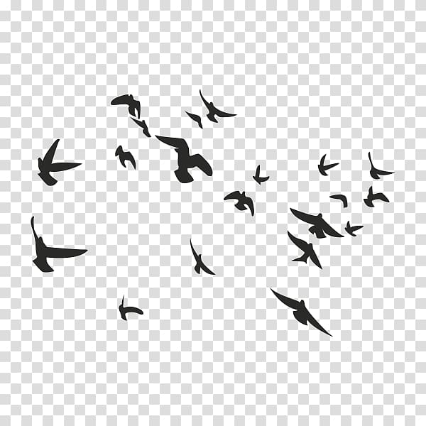 Bird Columbidae Flock, tattoo pattern transparent background PNG clipart