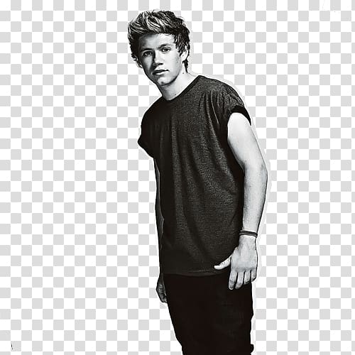 Mullingar One Direction Where We Are Tour iPhone Home, Niall Horan transparent background PNG clipart