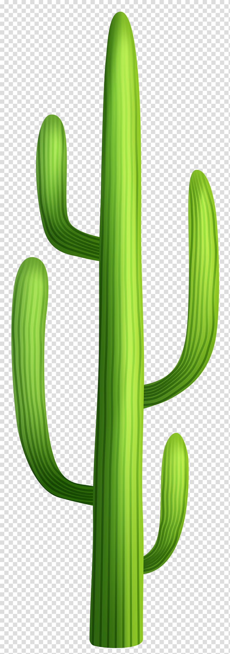Cactaceae Desert , cactus transparent background PNG clipart