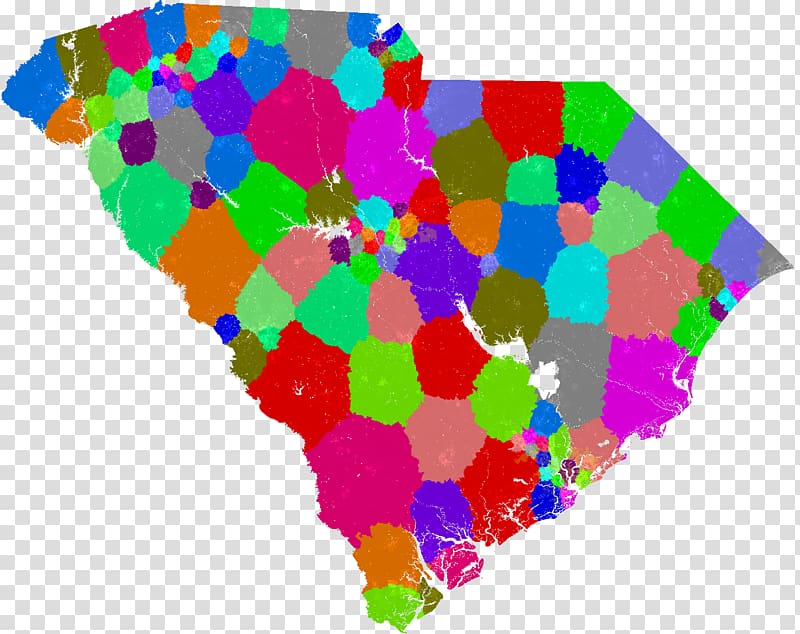 South Carolina\'s congressional districts South Carolina House of Representatives United States House of Representatives, chadian slides transparent background PNG clipart