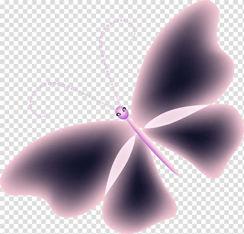 Butterfly Close-up , Purple Butterfly transparent background PNG clipart