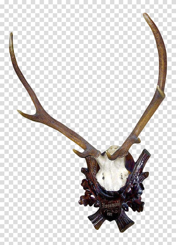 Deer Antler Horn Trophy hunting, deer transparent background PNG clipart