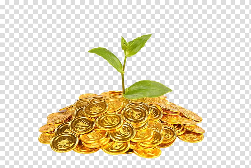 round gold-colored coin lot , Gold coin Plant Finance, Gold coins and plants transparent background PNG clipart