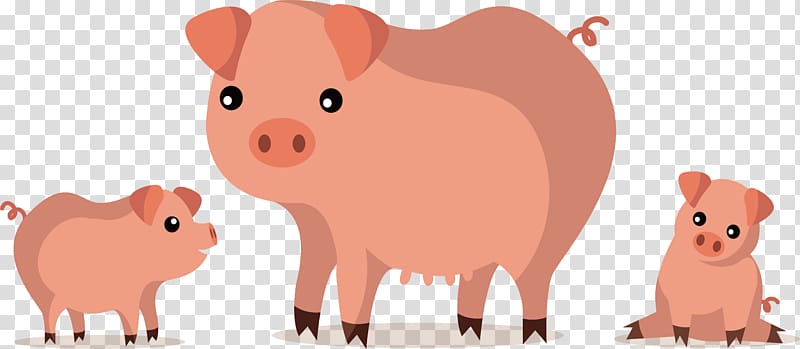 Domestic pig Kyai , Pink pig, a family transparent background PNG clipart