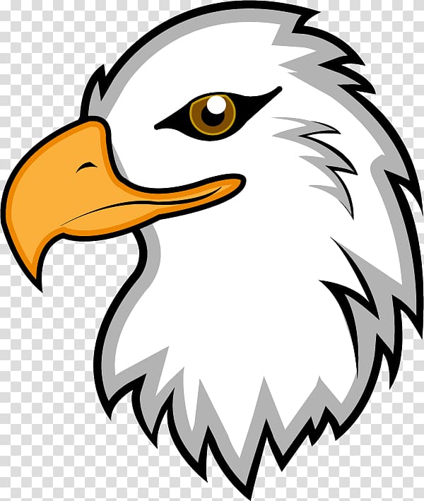 Bald Eagle , Eagle Mascot transparent background PNG clipart