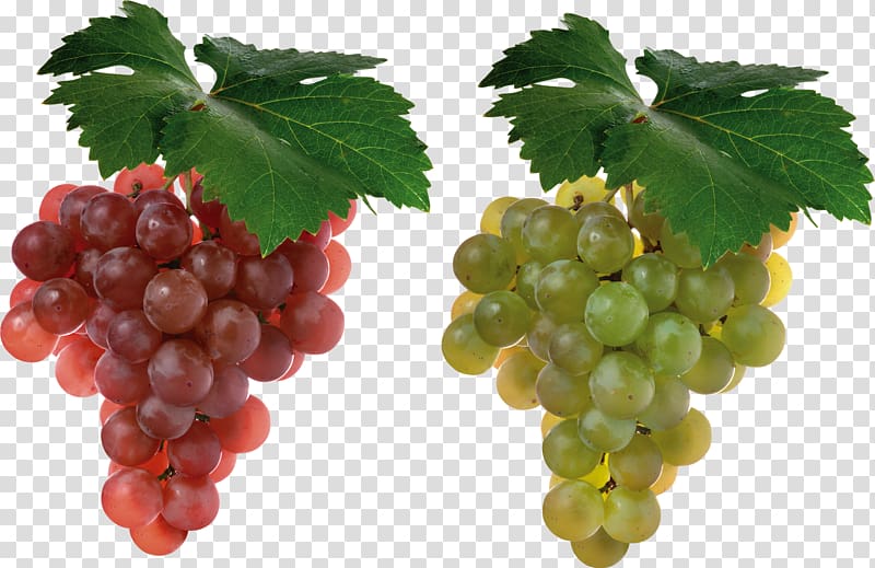 Cabernet Sauvignon Grape Juice Shiraz Fruit, Grapes transparent background PNG clipart