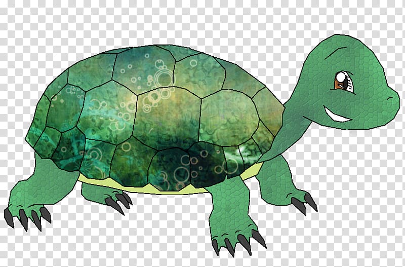 Tortoise Sea turtle Pond turtles Animal, turtle transparent background PNG clipart