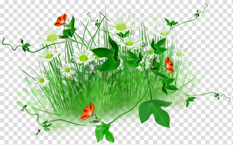 Ipomoea nil Floral design, Green grass trumpet decoration design transparent background PNG clipart